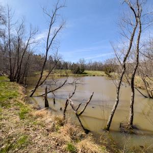 Photo #3 of SOLD property in Off of State Road 1580, Leasburg, NC 22.9 acres