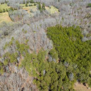 Photo #45 of SOLD property in Off of State Road 1580, Leasburg, NC 22.9 acres