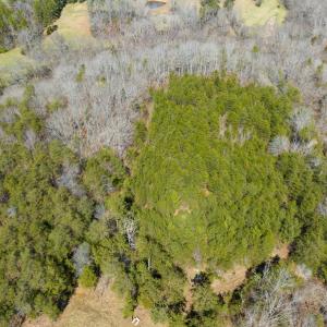 Photo #46 of SOLD property in Off of State Road 1580, Leasburg, NC 22.9 acres