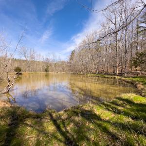 Photo #4 of SOLD property in Off of State Road 1580, Leasburg, NC 22.9 acres