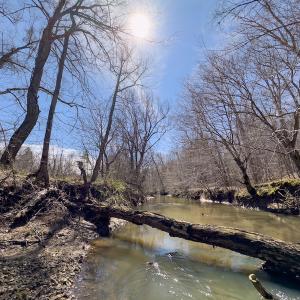 Photo #5 of SOLD property in Off of State Road 1580, Leasburg, NC 22.9 acres