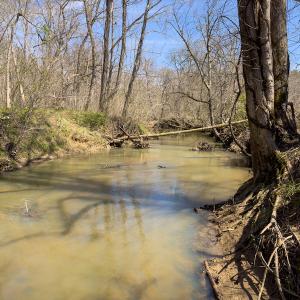 Photo #6 of SOLD property in Off of State Road 1580, Leasburg, NC 22.9 acres