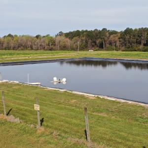 Photo #10 of Off Blue Moon Road, Hamer, SC 26.0 acres