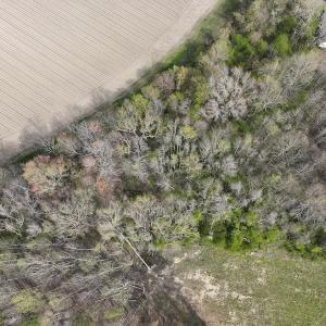 Photo #7 of SOLD property in 173 Paxton Lane, Edenton, NC 1.7 acres