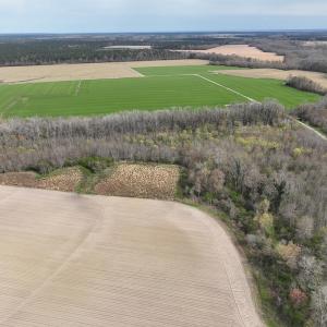Photo #10 of SOLD property in 173 Paxton Lane, Edenton, NC 1.7 acres