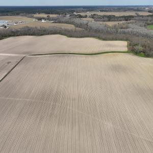 Photo #11 of SOLD property in 173 Paxton Lane, Edenton, NC 1.7 acres