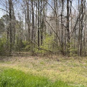 Photo #19 of SOLD property in 173 Paxton Lane, Edenton, NC 1.7 acres