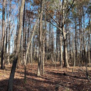 Photo #13 of SOLD property in Off Sunset Avenue, Rocky Mount, NC 50.4 acres