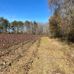 Photo #32 of SOLD property in Off Sunset Avenue, Rocky Mount, NC 50.4 acres
