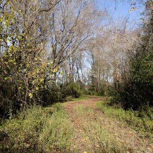 Photo #40 of SOLD property in Off Sunset Avenue, Rocky Mount, NC 50.4 acres