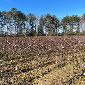 Photo #43 of SOLD property in Off Sunset Avenue, Rocky Mount, NC 50.4 acres