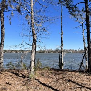Photo #10 of 142 Peninsula Shores Way, Hertford, NC 11.9 acres