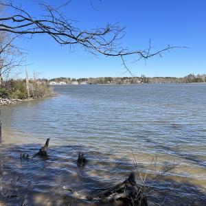 Photo #11 of 142 Peninsula Shores Way, Hertford, NC 11.9 acres