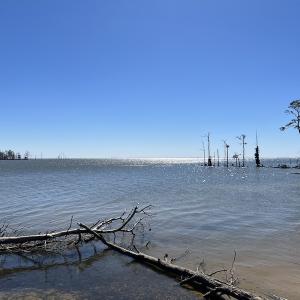 Photo #12 of 142 Peninsula Shores Way, Hertford, NC 11.9 acres