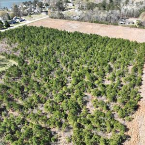 Photo #7 of 142 Peninsula Shores Way, Hertford, NC 11.9 acres