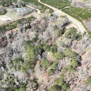 Photo #8 of 142 Peninsula Shores Way, Hertford, NC 11.9 acres