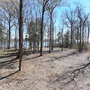 Photo #14 of 142 Peninsula Shores Way, Hertford, NC 11.9 acres
