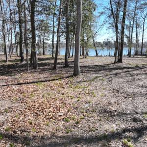 Photo #16 of 142 Peninsula Shores Way, Hertford, NC 11.9 acres