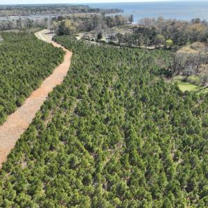 Photo #27 of 142 Peninsula Shores Way, Hertford, NC 11.9 acres