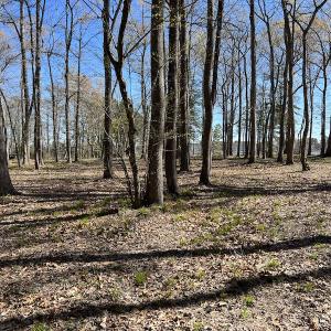 Photo #36 of 142 Peninsula Shores Way, Hertford, NC 11.9 acres