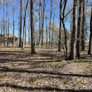 Photo #37 of 142 Peninsula Shores Way, Hertford, NC 11.9 acres