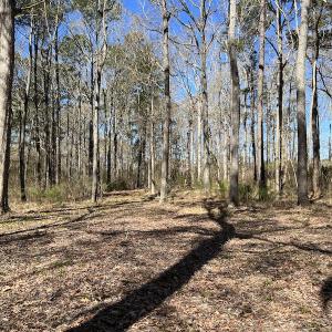 Photo #38 of 142 Peninsula Shores Way, Hertford, NC 11.9 acres