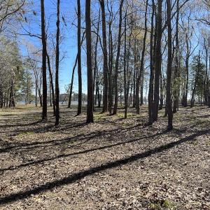 Photo #41 of 142 Peninsula Shores Way, Hertford, NC 11.9 acres