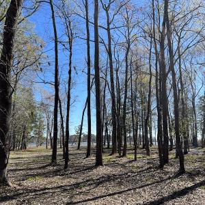 Photo #42 of 142 Peninsula Shores Way, Hertford, NC 11.9 acres
