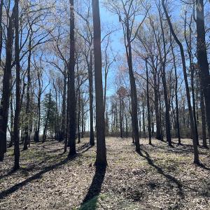 Photo #43 of 142 Peninsula Shores Way, Hertford, NC 11.9 acres