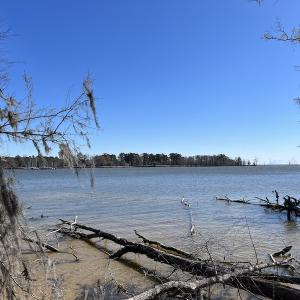 Photo #44 of 142 Peninsula Shores Way, Hertford, NC 11.9 acres
