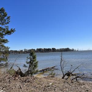 Photo #45 of 142 Peninsula Shores Way, Hertford, NC 11.9 acres