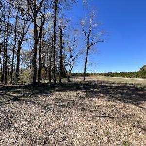 Photo #46 of 142 Peninsula Shores Way, Hertford, NC 11.9 acres