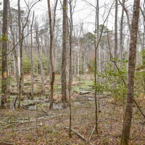 Photo #11 of SOLD property in Off Manning Bridge Rd, Suffolk, VA 7.7 acres