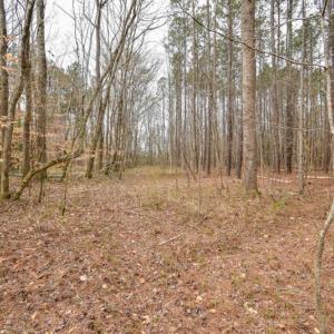 Photo #12 of SOLD property in Off Manning Bridge Rd, Suffolk, VA 7.7 acres