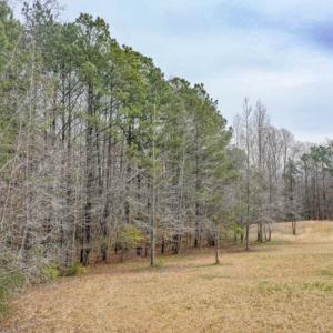 Photo #3 of SOLD property in Off Manning Bridge Rd, Suffolk, VA 7.7 acres