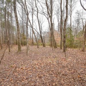 Photo #5 of SOLD property in Off Manning Bridge Rd, Suffolk, VA 7.7 acres