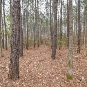 Photo #10 of SOLD property in Off Manning Bridge Rd, Suffolk, VA 7.7 acres