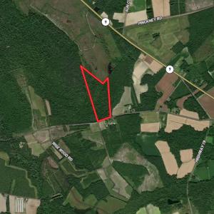 Photo #18 of Off Highway 430, Nichols, SC 32.3 acres