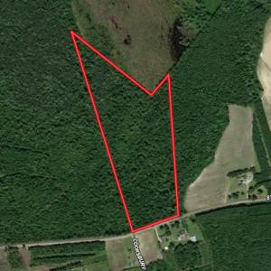 Photo #1 of Off Highway 430, Nichols, SC 32.3 acres