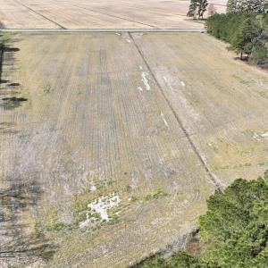 Photo #2 of Off Sladesville Credle Road, Scranton, NC 7.7 acres
