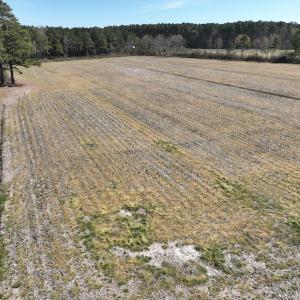 Photo #3 of Off Sladesville Credle Road, Scranton, NC 7.7 acres