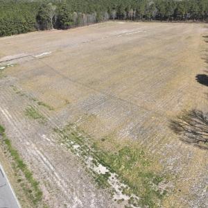 Photo #4 of Off Sladesville Credle Road, Scranton, NC 7.7 acres