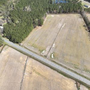Photo #5 of Off Sladesville Credle Road, Scranton, NC 7.7 acres