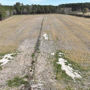 Photo #6 of Off Sladesville Credle Road, Scranton, NC 7.7 acres