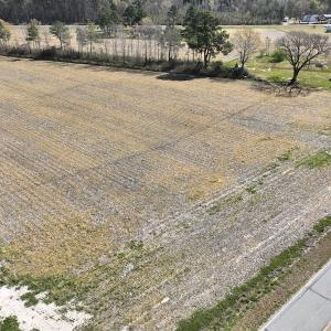 Photo #8 of Off Sladesville Credle Road, Scranton, NC 7.7 acres