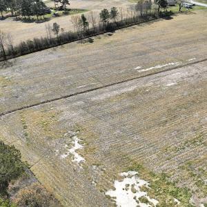 Photo #9 of Off Sladesville Credle Road, Scranton, NC 7.7 acres