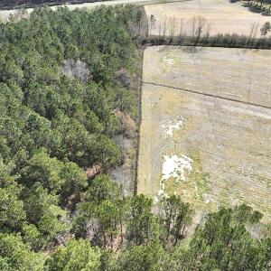 Photo #10 of Off Sladesville Credle Road, Scranton, NC 7.7 acres
