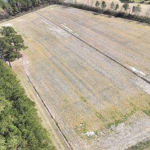 Photo #11 of Off Sladesville Credle Road, Scranton, NC 7.7 acres