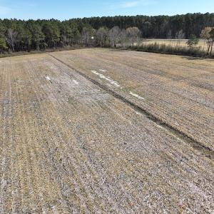 Photo #12 of Off Sladesville Credle Road, Scranton, NC 7.7 acres
