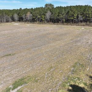 Photo #13 of Off Sladesville Credle Road, Scranton, NC 7.7 acres